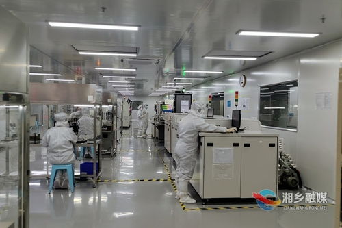湘鄉經開區新天源電子 以創新研發為引擎，鑄就重慶軟件開發領域的“拳頭”產品